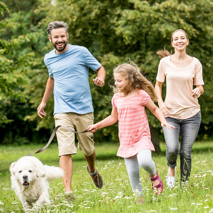 Celebrate Take a Walk in the Park Day: Get Outdoors and Get Moving
