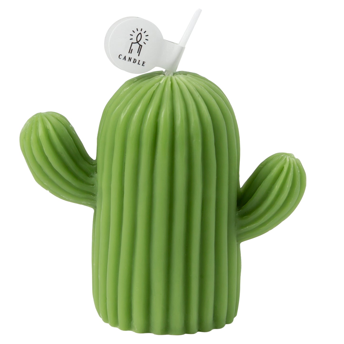 Rejuuv Cactus Shaped Scented Candle