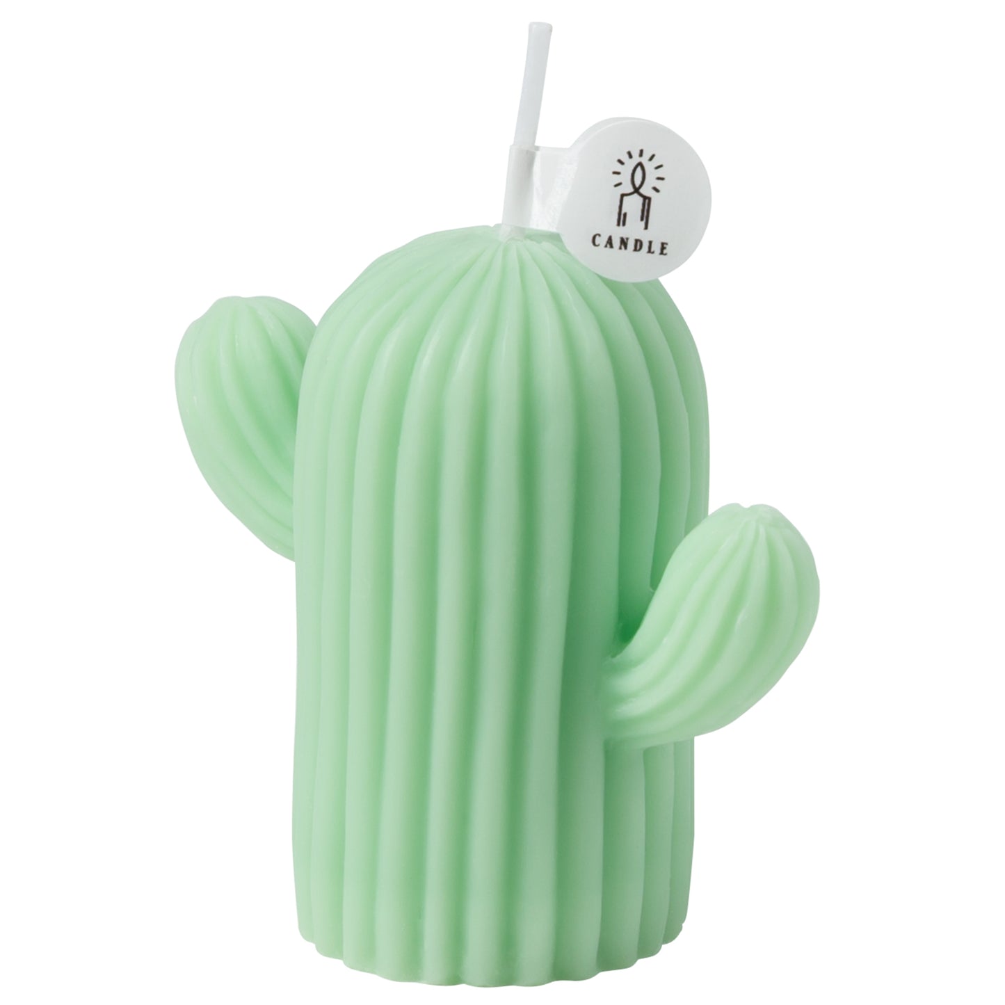 Rejuuv Cactus Shaped Scented Candle